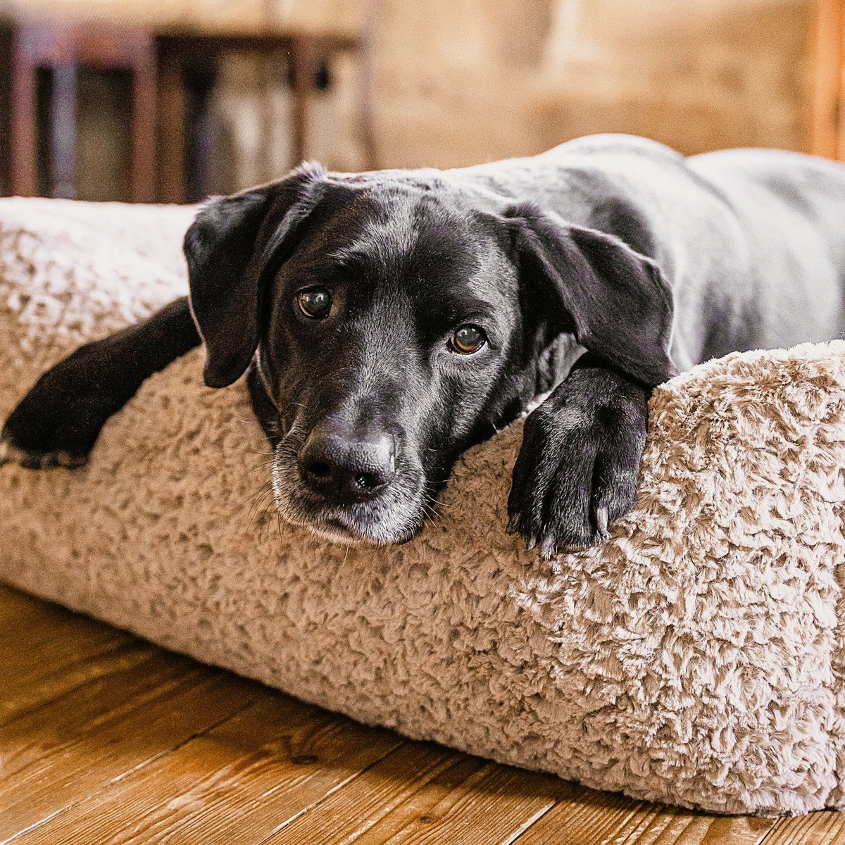 Hundebett CAMO